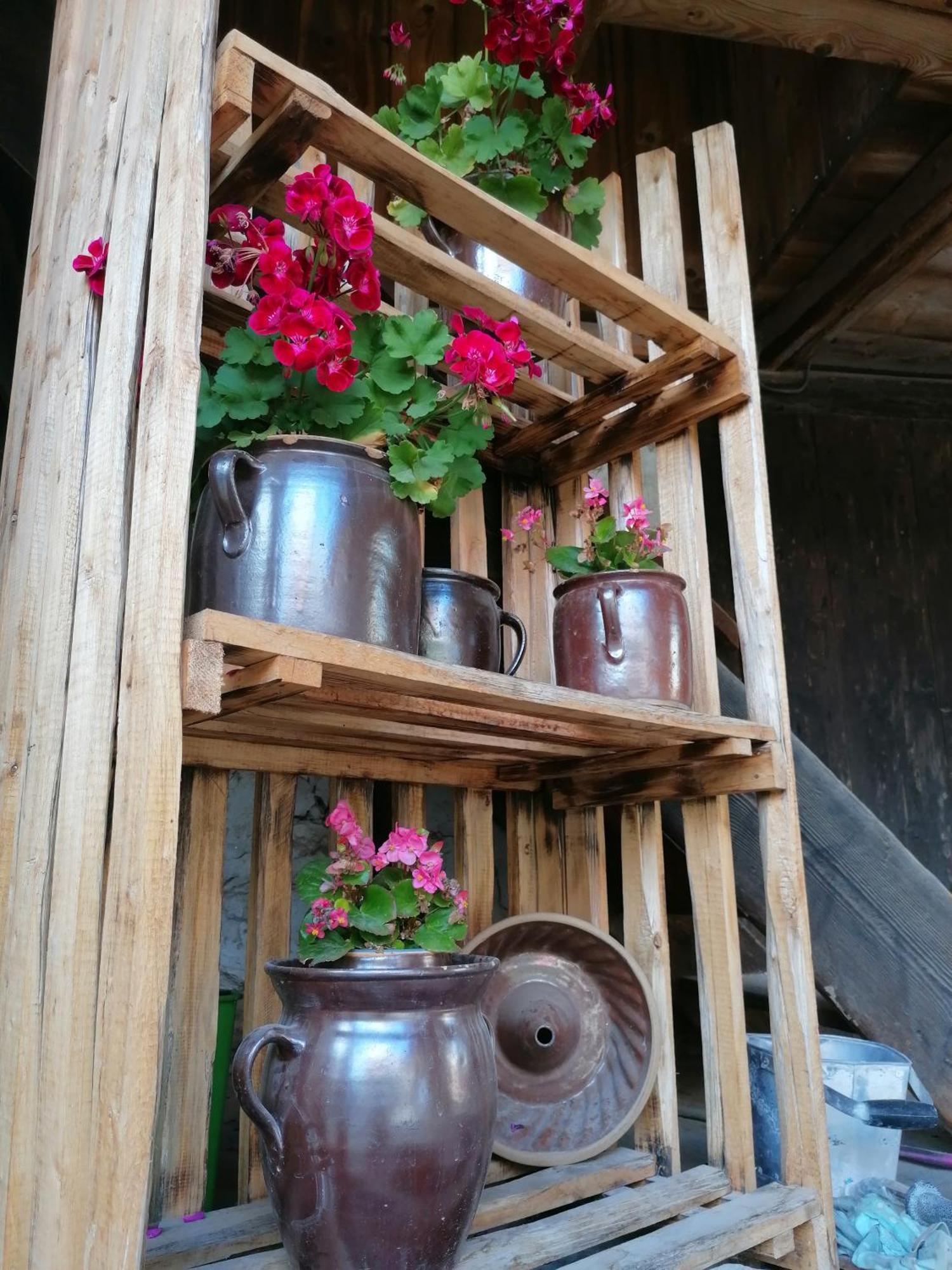 Ackerbuergerhof Ballstrasse 18 Quedlinburg Ngoại thất bức ảnh