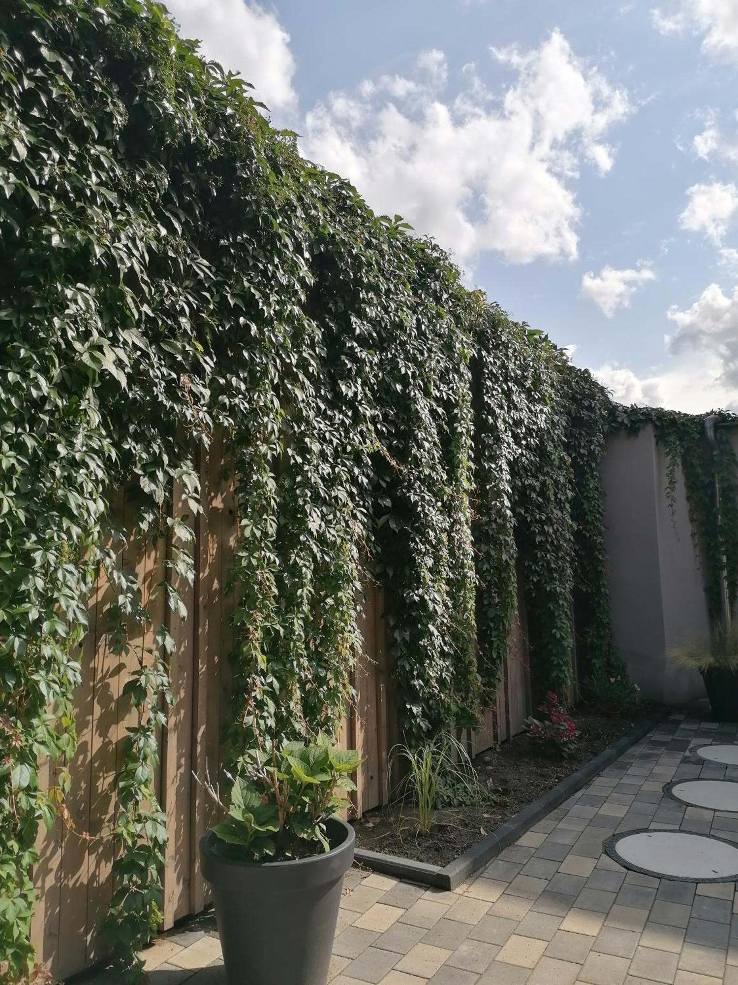 Ackerbuergerhof Ballstrasse 18 Quedlinburg Ngoại thất bức ảnh