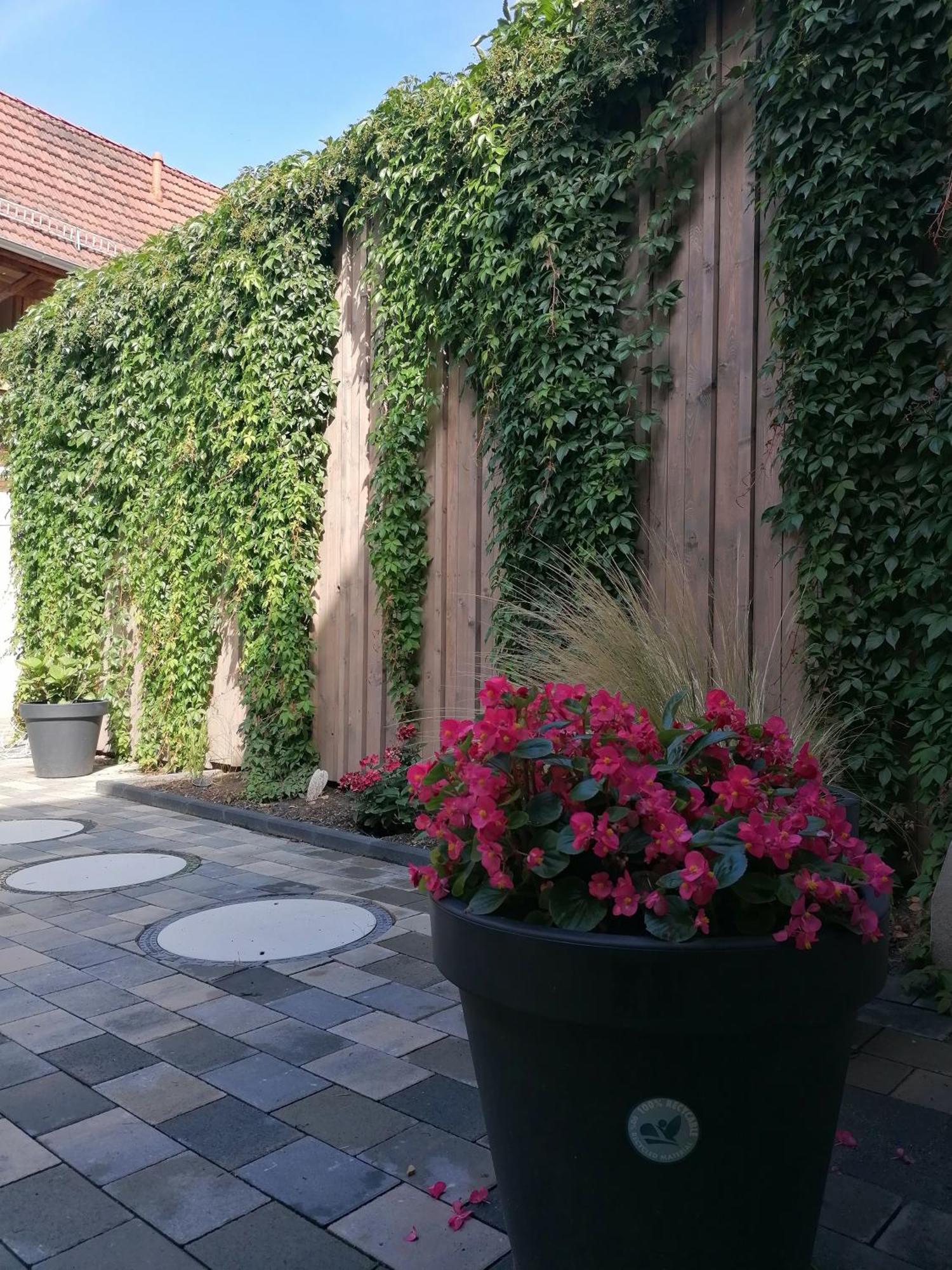 Ackerbuergerhof Ballstrasse 18 Quedlinburg Ngoại thất bức ảnh